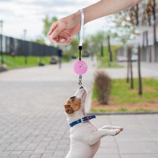 Correa Automática Retráctil para Perros 2M - Portátil y Flexible - Image 15