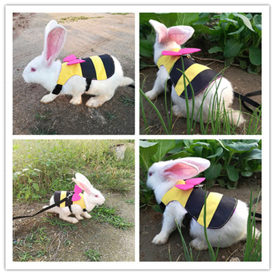 Arnés Disfraz de Abeja para Gato con Cuerda de Paseo - Image 4