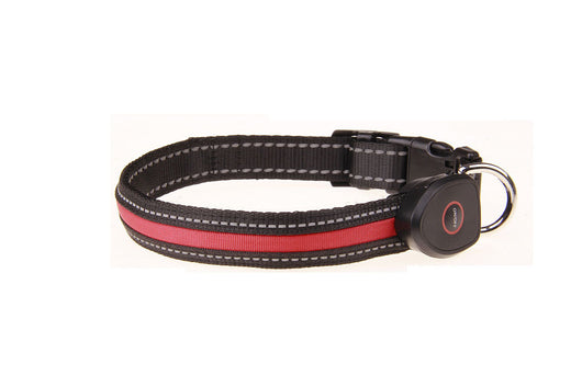 Collar Luminoso para Perros con Carga USB - Image 11