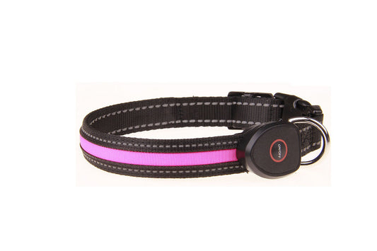 Collar Luminoso para Perros con Carga USB
