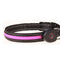 Collar Luminoso para Perros con Carga USB