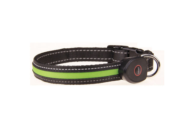 Collar Luminoso para Perros con Carga USB