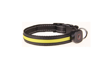 Collar Luminoso para Perros con Carga USB - Image 6