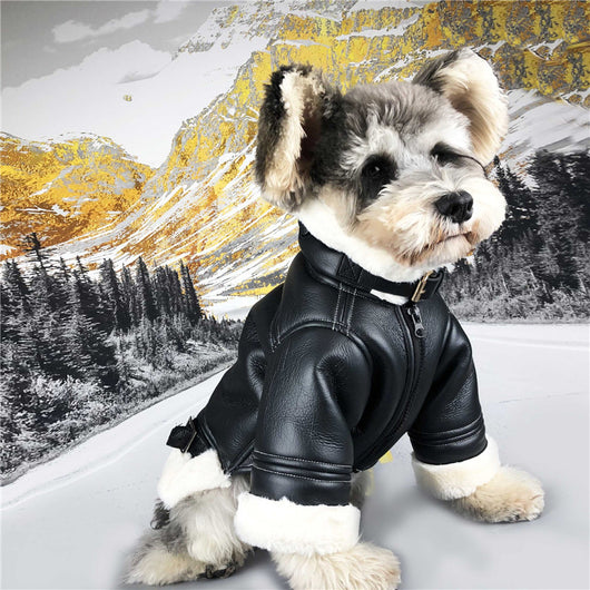 Abrigo Térmico para Perros - Chaleco Acolchado de Terciopelo para Otoño e Invierno - Image 9