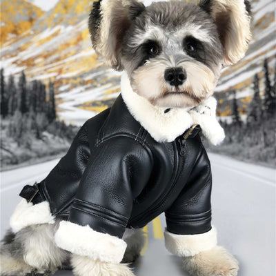 Abrigo Térmico para Perros - Chaleco Acolchado de Terciopelo para Otoño e Invierno - Image 2