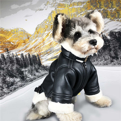 Abrigo Térmico para Perros - Chaleco Acolchado de Terciopelo para Otoño e Invierno - Image 5