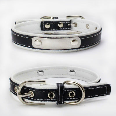 Collar Doble de Cuero con Refuerzo para Correa de Perro - Image 10