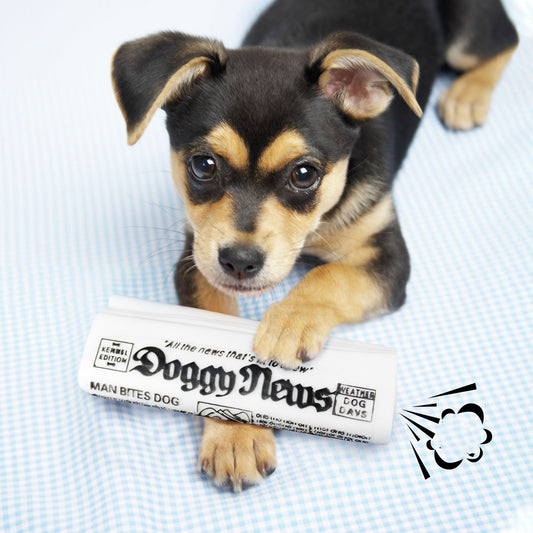 Juguete Masticable para Perros con Sonido Crujiente - Entrenamiento y Diversión