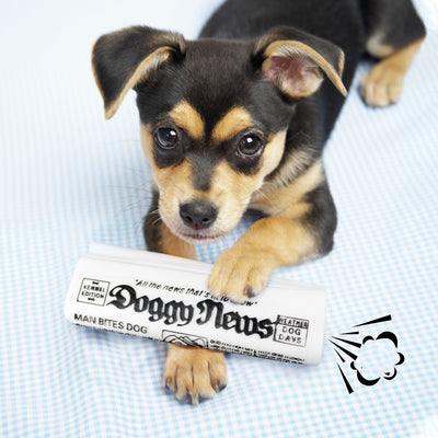 Juguete Masticable para Perros con Sonido Crujiente - Entrenamiento y Diversión
