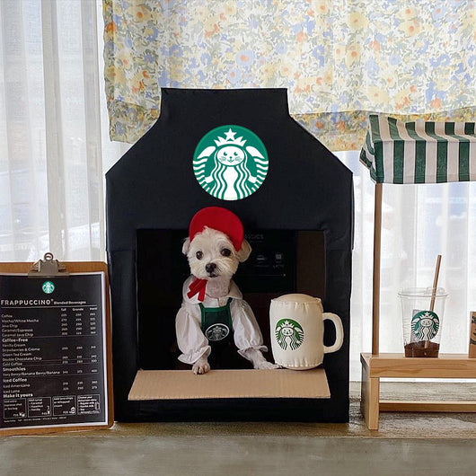 Ropa Adorable para Mascotas Estilo Coreano - Diseño Gato Estrella - Image 7