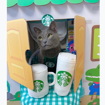 Ropa Adorable para Mascotas Estilo Coreano - Diseño Gato Estrella - Image 8