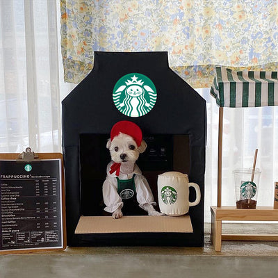 Ropa Adorable para Mascotas Estilo Coreano - Diseño Gato Estrella - Image 5