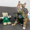 Ropa Adorable para Mascotas Estilo Coreano - Diseño Gato Estrella