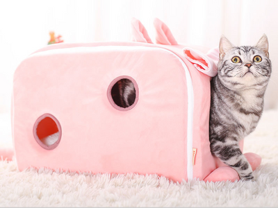 Arena para Gatos Invierno - Image 5