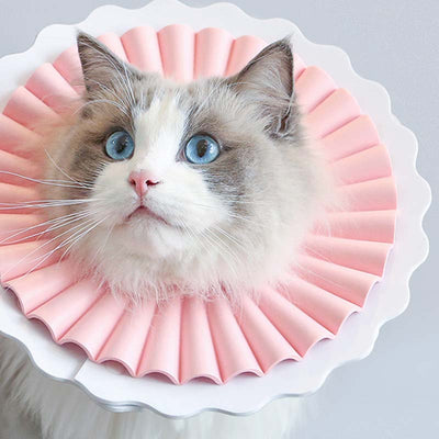 Collar Protector Impermeable Antilamidas para Gatos