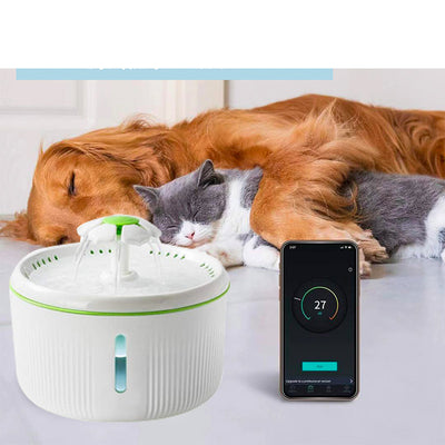Fuente Automática Circulante para Gatos - Image 3