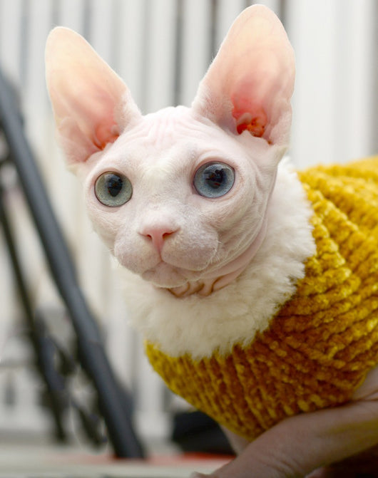 Chaleco Abrigador de Imitación Piel de Visón - Suéter Cálido para Otoño e Invierno - Image 9