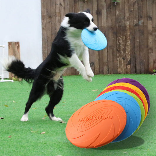 Juguete Interactivo Flotante para Mascotas Resistente a Mordidas - Image 21