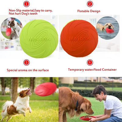 Juguete Interactivo Flotante para Mascotas Resistente a Mordidas - Image 19