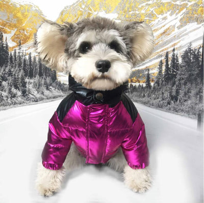 Abrigo Impermeable para Mascotas con Cuello de Pelaje Acolchado - Image 6