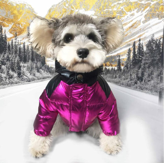 Abrigo Impermeable para Mascotas con Cuello de Pelaje Acolchado - Image 6