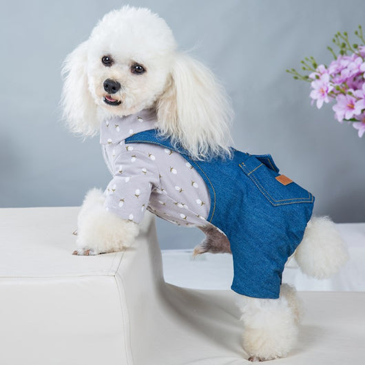 Abrigo Acolchado para Perro de Raza Mediana y Grande - Estilo Británico - Image 3