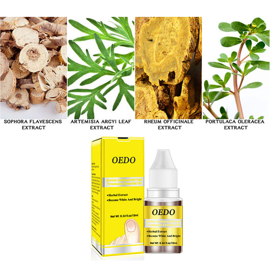 Aceite Esencial de Ginseng Oedo para Uñas - Image 3