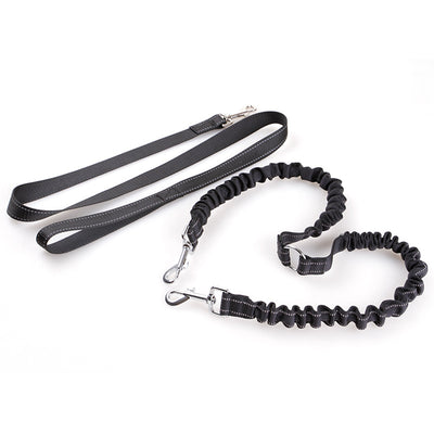 Correa Retráctil Doble para Perros con Manija Ergonómica - Image 9