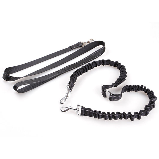 Correa Retráctil Doble para Perros con Manija Ergonómica - Image 9