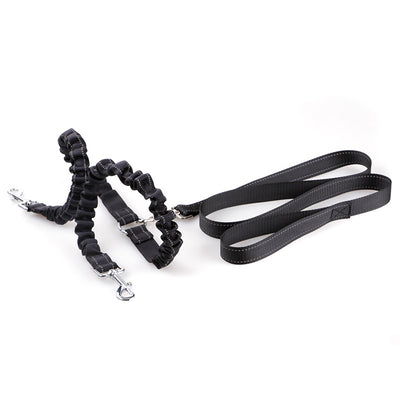 Correa Retráctil Doble para Perros con Manija Ergonómica - Image 8