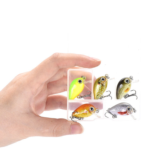 Kit de Señuelos de Pesca Tanshui Luya - 5 Colores Premium - Image 8