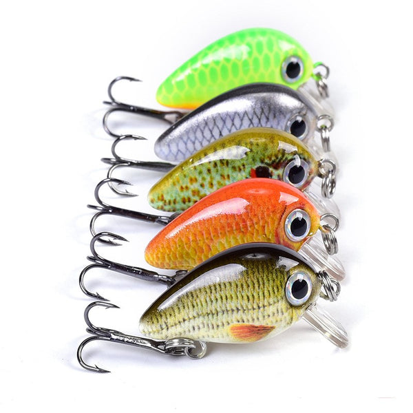 Kit de Señuelos de Pesca Tanshui Luya - 5 Colores Premium
