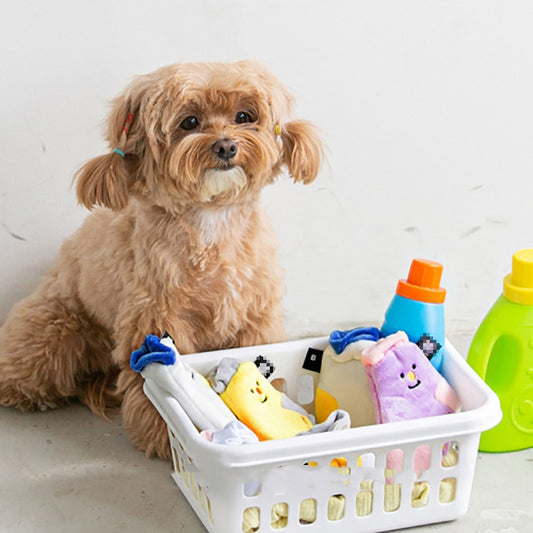 Calcetines Educativos Sensoriales para Mascotas
