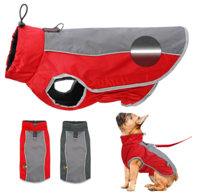 Chaqueta Deportiva Impermeable Térmica para Clima Frío