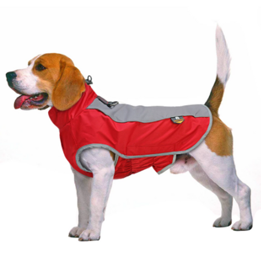 Chaqueta Deportiva Impermeable Térmica para Clima Frío - Image 2