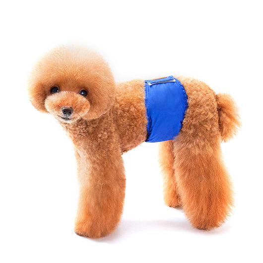 Pantalones Fisiológicos de Color Sólido para Perros Macho - Image 12