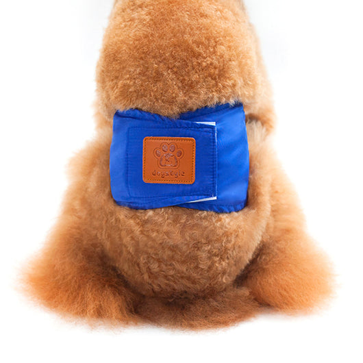 Pantalones Fisiológicos de Color Sólido para Perros Macho - Image 5