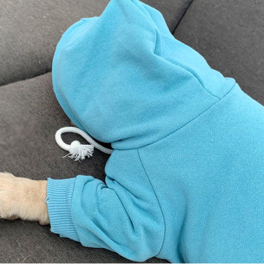 Suéter con Capucha Fleece Trendy para Perros Pequeños - Image 10