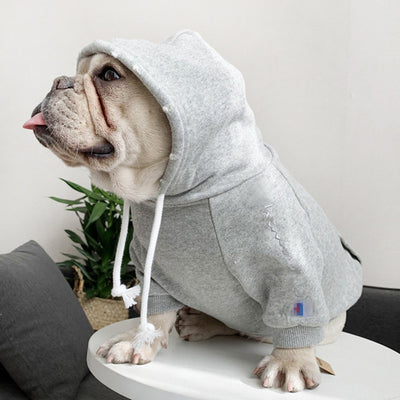 Suéter con Capucha Fleece Trendy para Perros Pequeños - Image 9