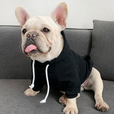 Suéter con Capucha Fleece Trendy para Perros Pequeños - Image 4
