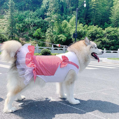 Disfraz Princesa para Perros Grandes - Ropa para Labrador y Golden Retriever - Image 11