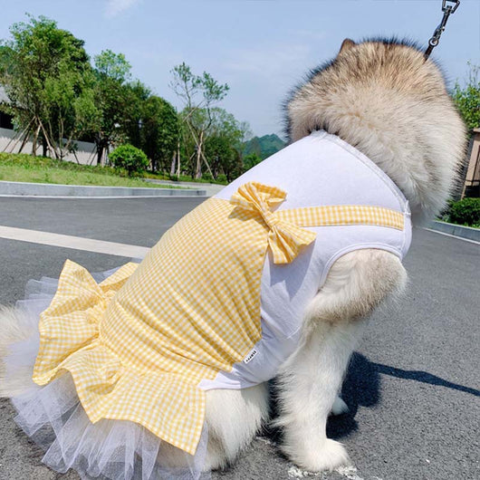 Disfraz Princesa para Perros Grandes - Ropa para Labrador y Golden Retriever - Image 6