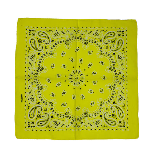 Pañuelo Hip Hop Cuadrado Pequeño - Diseño Flor de Anacardo - Image 13