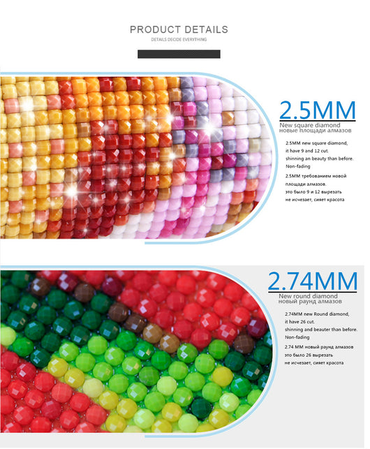 Pintura de Diamantes DIY - Cuadros Brillantes Hechos a Mano - Image 6