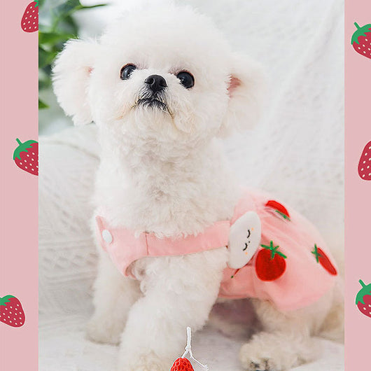 Vestido Princesa Fresa para Perro - Diseño Dulce y Delicado - Image 10