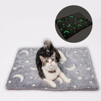 Cojín Luminoso Acolchado para Mascotas - Image 12