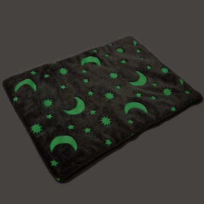 Cojín Luminoso Acolchado para Mascotas - Image 6