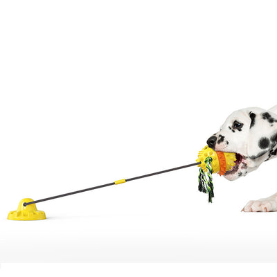 Dalmatian puppy playing with a red, white, and blue suction cup dog toy with a spiked ball and rope tassels. - Image 2