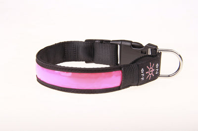 Collar Luminoso Recargable para Perros Golden Retriever y Mascotas - Image 7