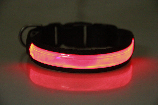 Collar Luminoso Recargable para Perros Golden Retriever y Mascotas - Image 8